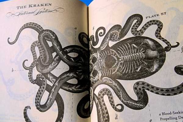 Kraken зеркало даркнет