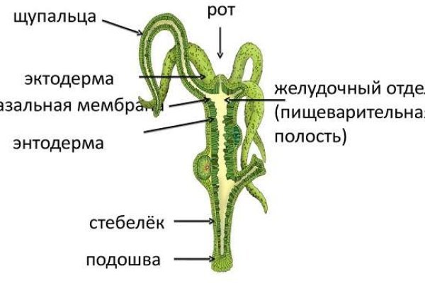 Ссылка адрес на кракен тор