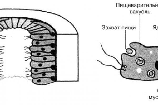 Кракен даркнет текст