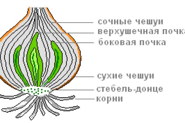 Кракен почему пользователь не найден