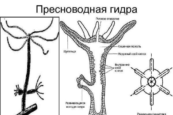 Как пополнить кошелек на кракене